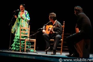 Noche de Flamenco - Festival Les Internationales de la Guitare 2006