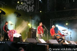Mickey 3d - Festival Les Vieilles Charrues 2005