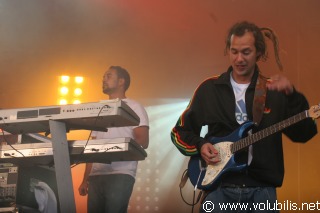 Dub Incorporation - Festival Les Vieilles Charrues 2008